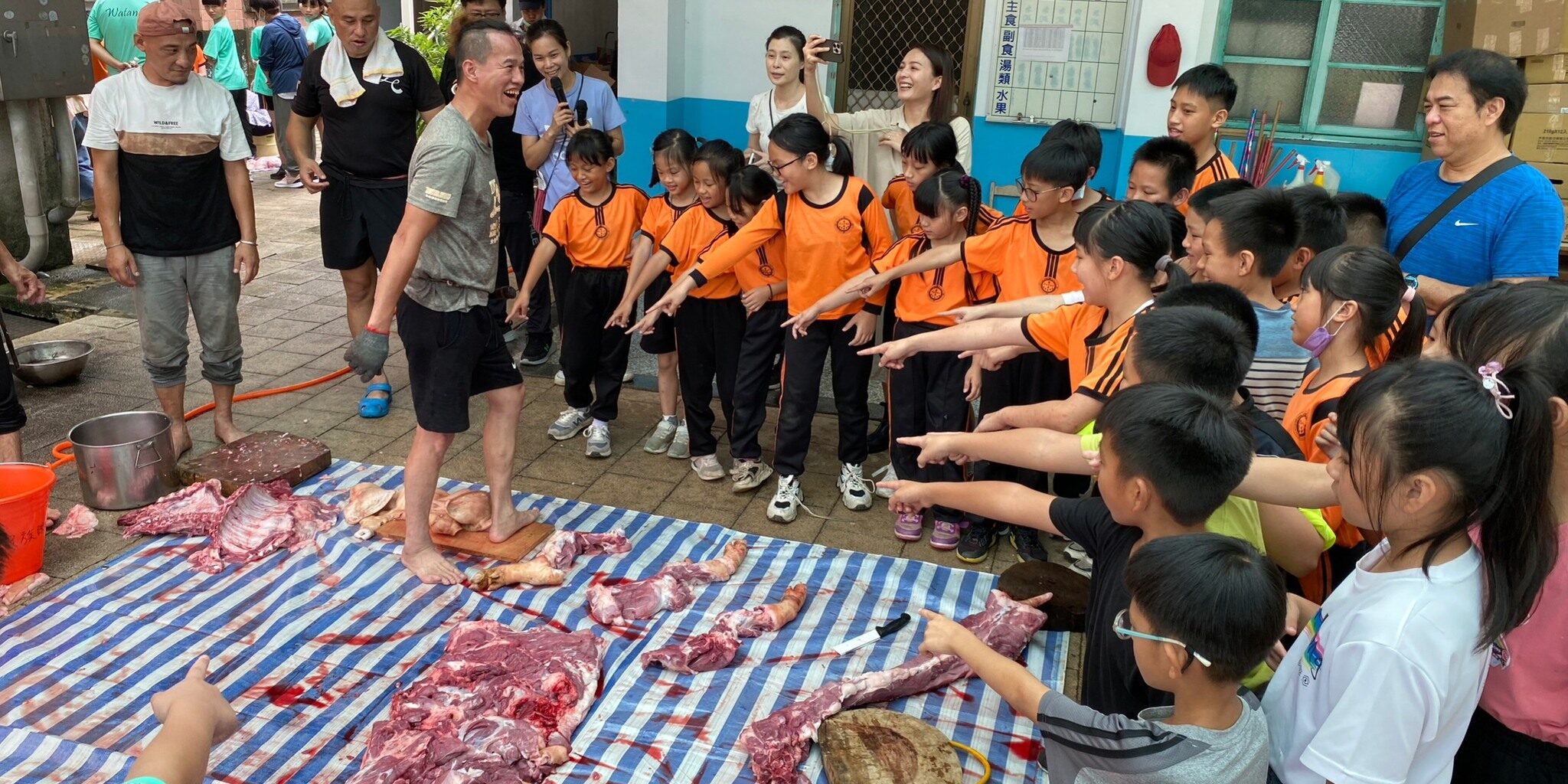 357046739_734481695142739_2707504005735494514_n