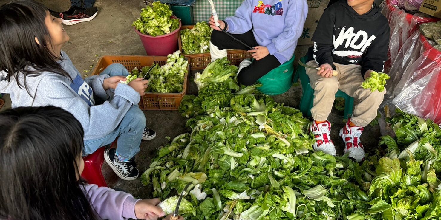 431847407_875128984411342_1603805632452901277_n