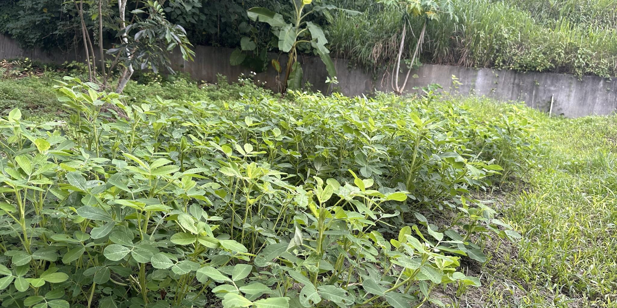 442407170_918356960088544_1788945082967027601_n