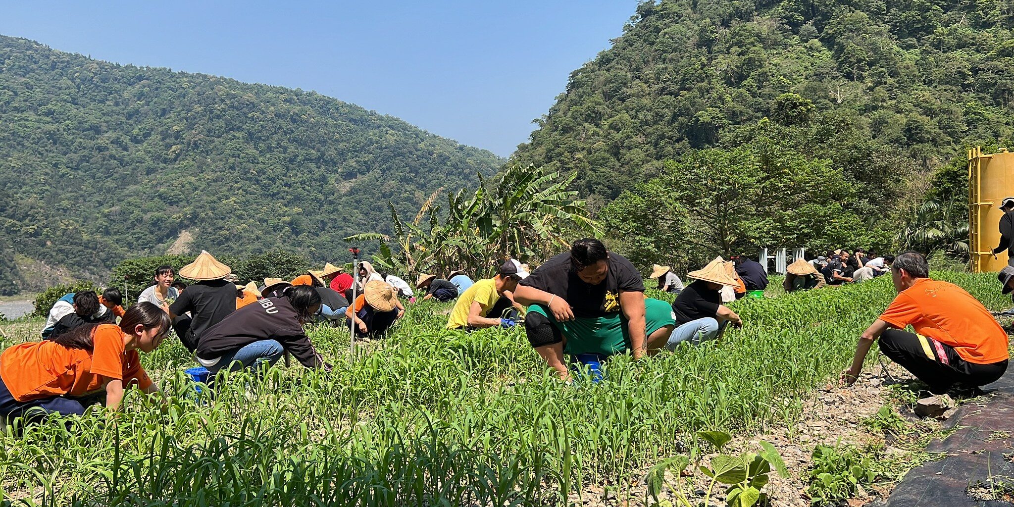 442489757_921949319729308_3279391182555795377_n