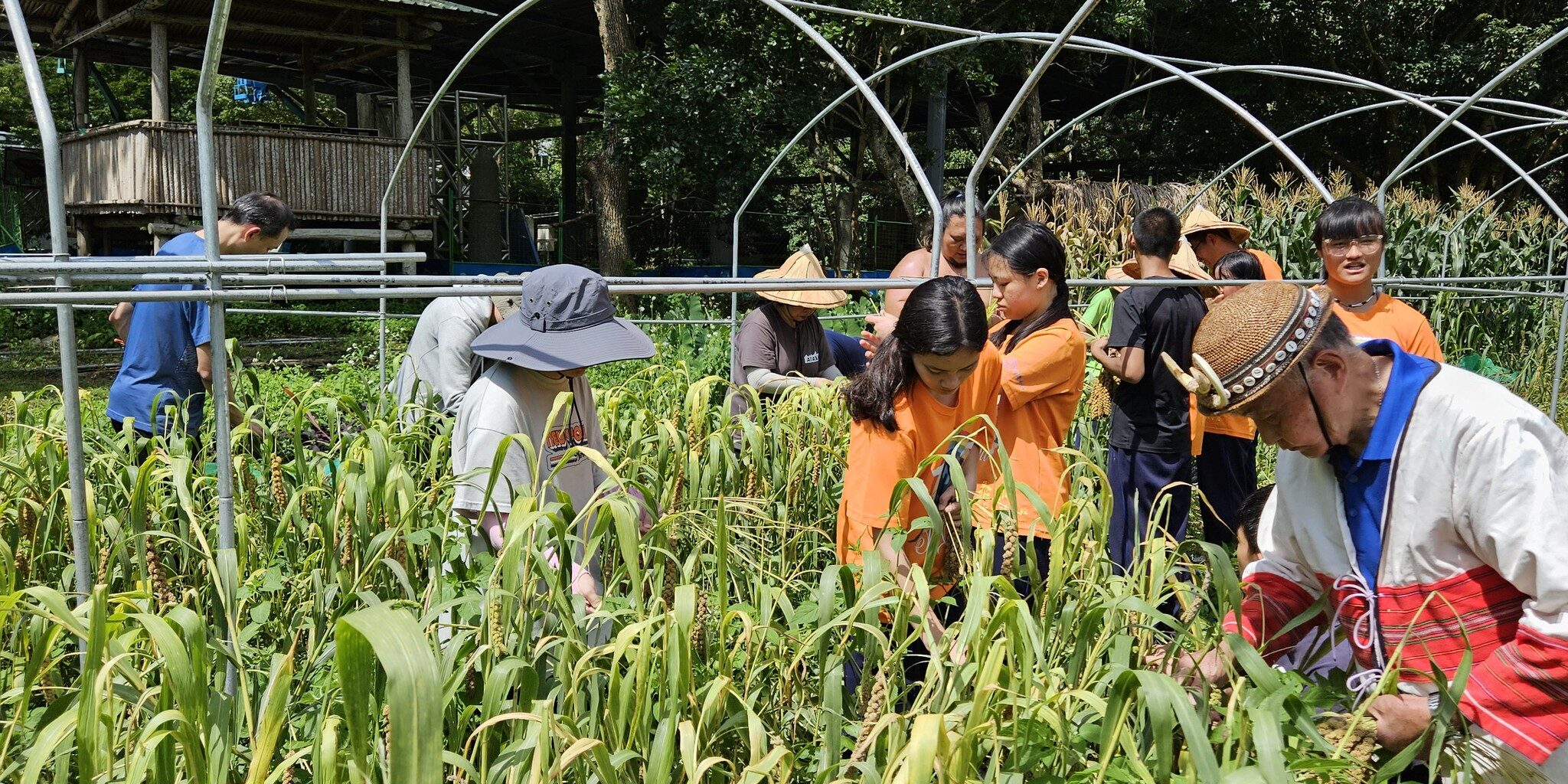 470191402_1061433539114218_3842056722346272080_n