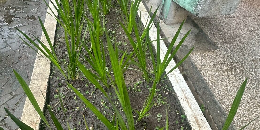 499947351_1174663041124600_5904596187862951137_n